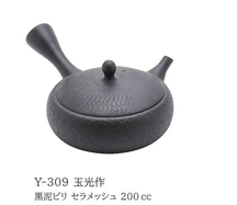 flache Teekanne Tamamitsu von Gyokuryo, 200ml
